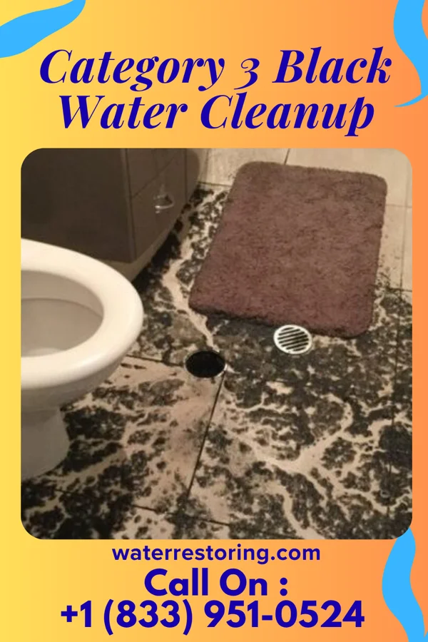 Category 3 Black Water Cleanup in Hunter, MO