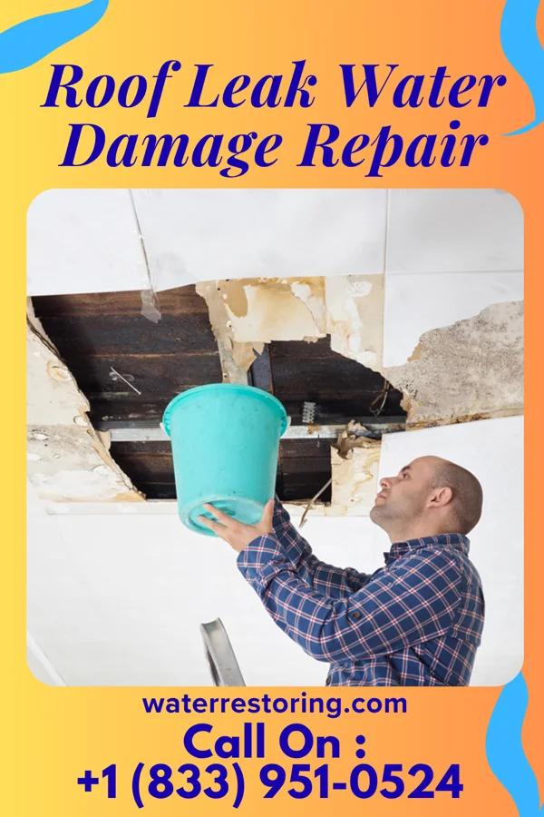 Roof Leak Water Damage Repair in Hunter, MO