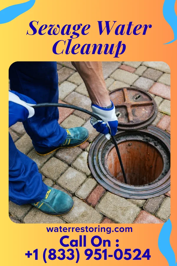 Sewage Water Cleanup in Hunter, MO